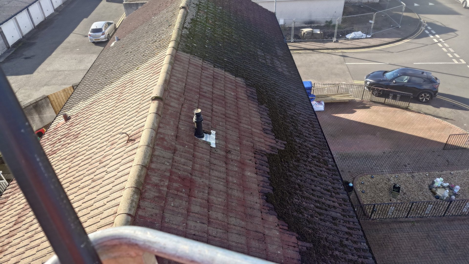 Moss removal from roof