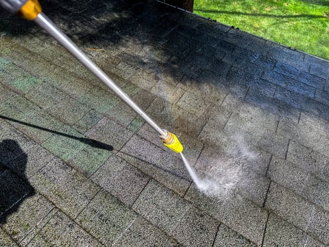 Professional roof cleaning